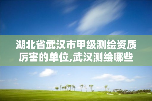 湖北省武汉市甲级测绘资质厉害的单位,武汉测绘哪些单位比较好。