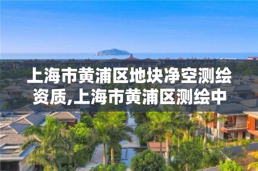 上海市黄浦区地块净空测绘资质,上海市黄浦区测绘中心