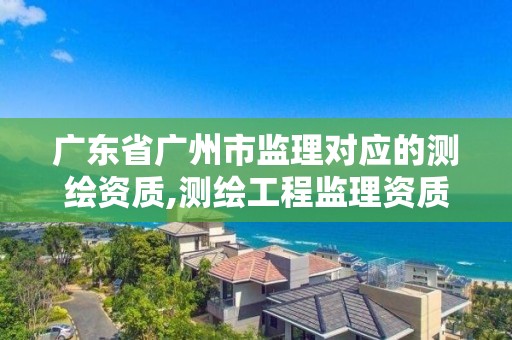 广东省广州市监理对应的测绘资质,测绘工程监理资质