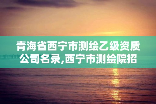 青海省西宁市测绘乙级资质公司名录,西宁市测绘院招聘公示。