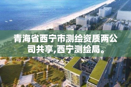 青海省西宁市测绘资质两公司共享,西宁测绘局。