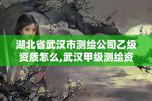 湖北省武汉市测绘公司乙级资质怎么,武汉甲级测绘资质名录。