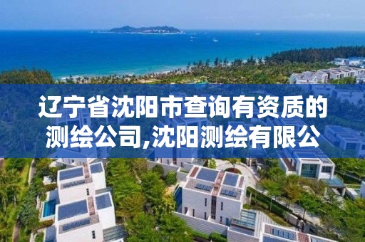 辽宁省沈阳市查询有资质的测绘公司,沈阳测绘有限公司