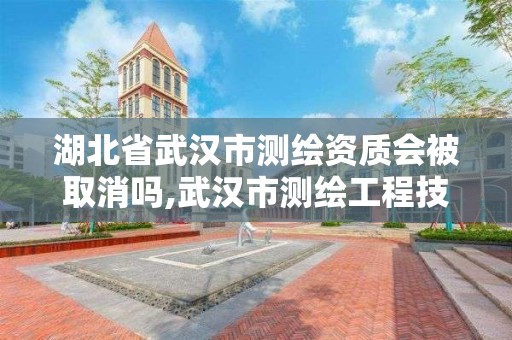 湖北省武汉市测绘资质会被取消吗,武汉市测绘工程技术规定