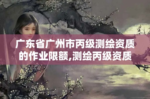 广东省广州市丙级测绘资质的作业限额,测绘丙级资质人员要求