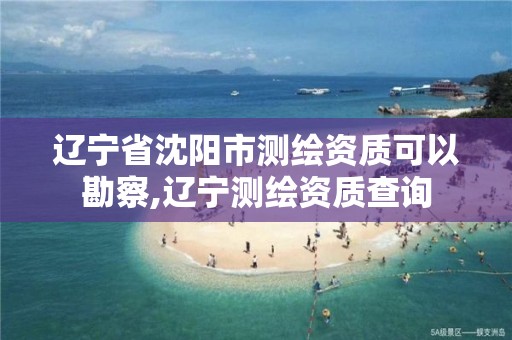 辽宁省沈阳市测绘资质可以勘察,辽宁测绘资质查询