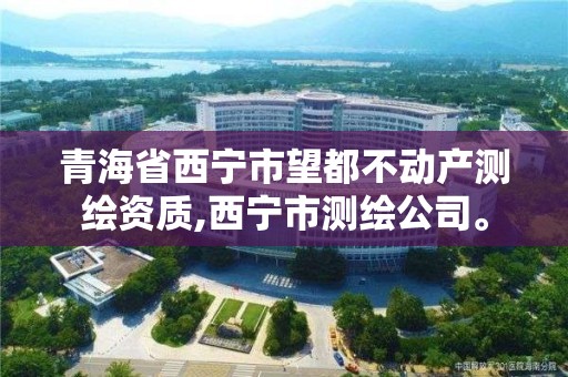 青海省西宁市望都不动产测绘资质,西宁市测绘公司。