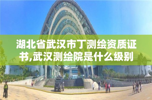 湖北省武汉市丁测绘资质证书,武汉测绘院是什么级别。