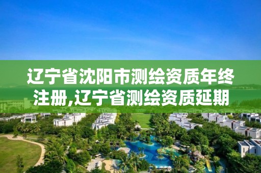 辽宁省沈阳市测绘资质年终注册,辽宁省测绘资质延期