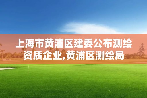 上海市黄浦区建委公布测绘资质企业,黄浦区测绘局