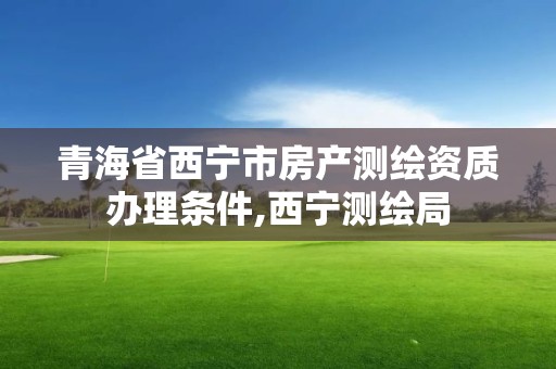 青海省西宁市房产测绘资质办理条件,西宁测绘局