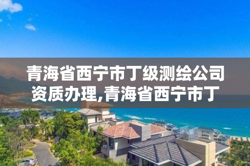 青海省西宁市丁级测绘公司资质办理,青海省西宁市丁级测绘公司资质办理电话