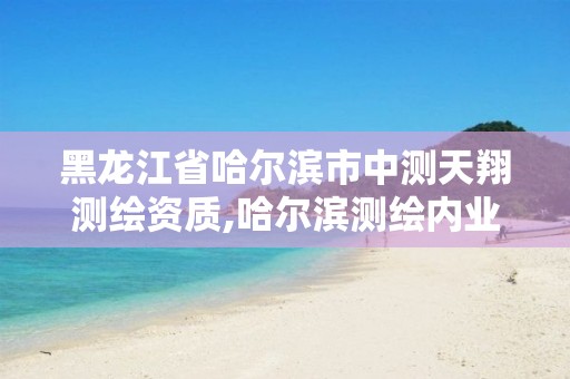 黑龙江省哈尔滨市中测天翔测绘资质,哈尔滨测绘内业招聘信息