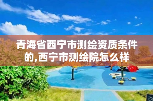 青海省西宁市测绘资质条件的,西宁市测绘院怎么样