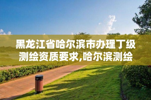 黑龙江省哈尔滨市办理丁级测绘资质要求,哈尔滨测绘局是干什么的