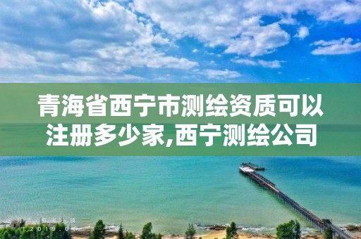 青海省西宁市测绘资质可以注册多少家,西宁测绘公司