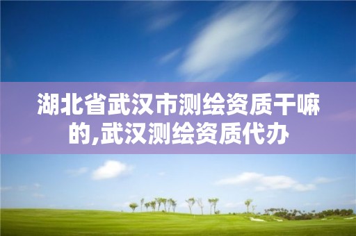 湖北省武汉市测绘资质干嘛的,武汉测绘资质代办