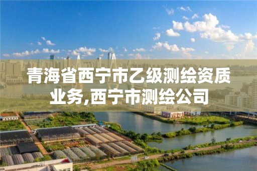 青海省西宁市乙级测绘资质业务,西宁市测绘公司