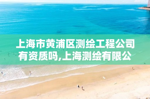 上海市黄浦区测绘工程公司有资质吗,上海测绘有限公司。