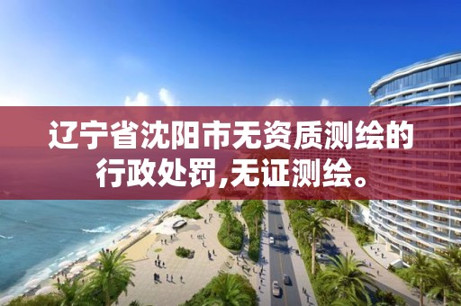 辽宁省沈阳市无资质测绘的行政处罚,无证测绘。