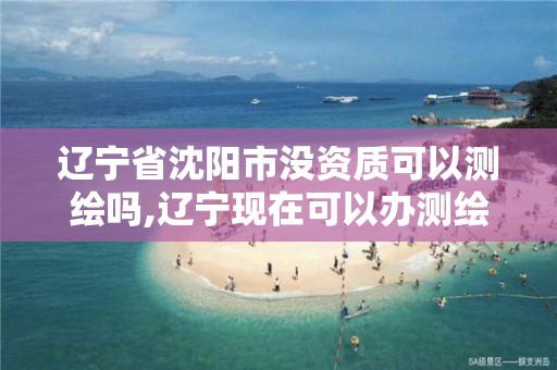 辽宁省沈阳市没资质可以测绘吗,辽宁现在可以办测绘资质吗