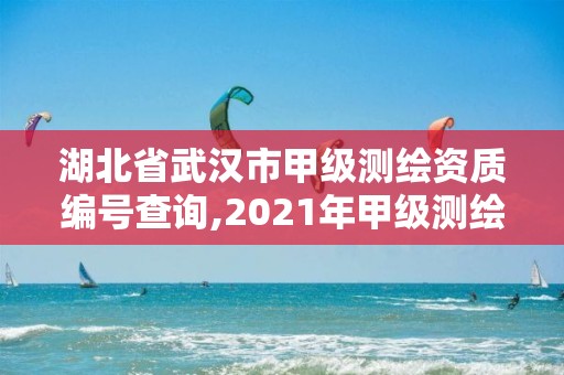 湖北省武汉市甲级测绘资质编号查询,2021年甲级测绘资质