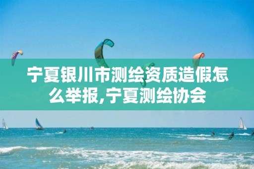 宁夏银川市测绘资质造假怎么举报,宁夏测绘协会