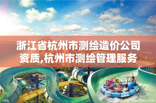 浙江省杭州市测绘造价公司资质,杭州市测绘管理服务平台