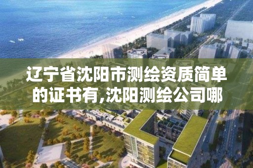 辽宁省沈阳市测绘资质简单的证书有,沈阳测绘公司哪家强哪家好