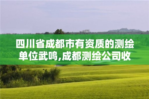 四川省成都市有资质的测绘单位武鸣,成都测绘公司收费标准。