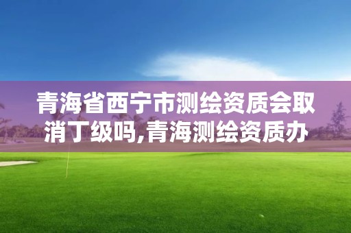 青海省西宁市测绘资质会取消丁级吗,青海测绘资质办理