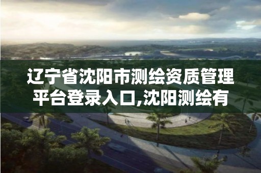 辽宁省沈阳市测绘资质管理平台登录入口,沈阳测绘有限公司