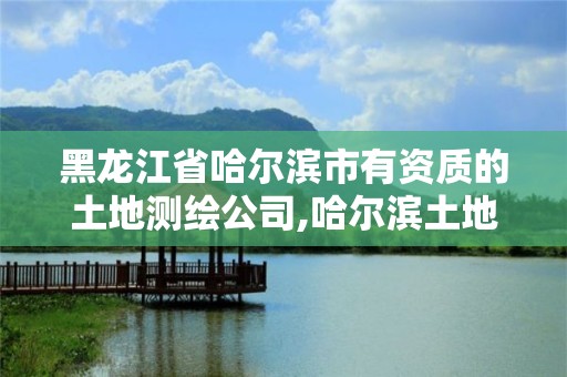 黑龙江省哈尔滨市有资质的土地测绘公司,哈尔滨土地评估公司。