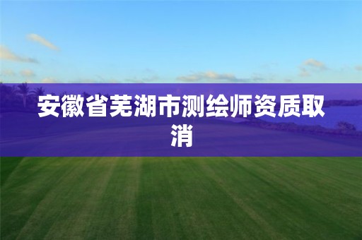 安徽省芜湖市测绘师资质取消