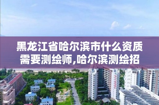 黑龙江省哈尔滨市什么资质需要测绘师,哈尔滨测绘招聘信息