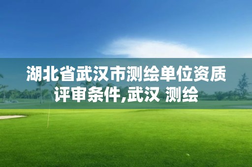 湖北省武汉市测绘单位资质评审条件,武汉 测绘