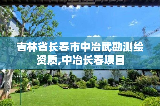 吉林省长春市中冶武勘测绘资质,中冶长春项目