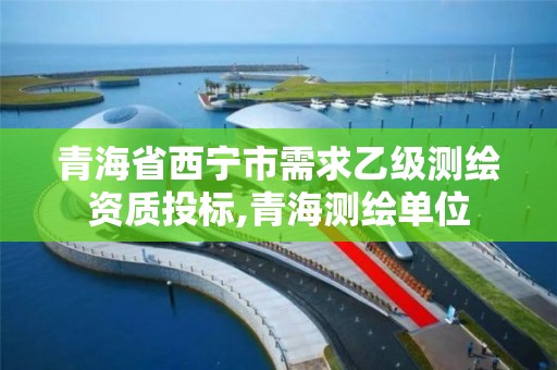 青海省西宁市需求乙级测绘资质投标,青海测绘单位