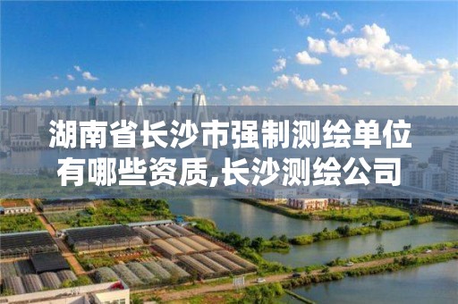 湖南省长沙市强制测绘单位有哪些资质,长沙测绘公司资质有哪家