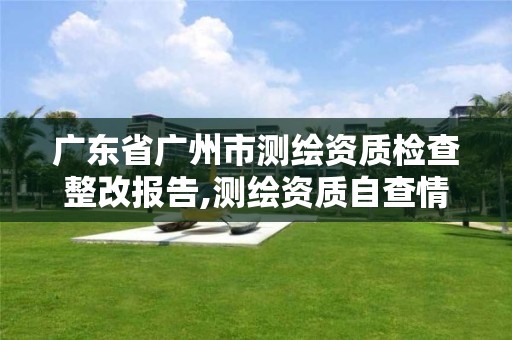 广东省广州市测绘资质检查整改报告,测绘资质自查情况表如何填写。