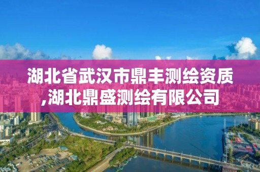 湖北省武汉市鼎丰测绘资质,湖北鼎盛测绘有限公司