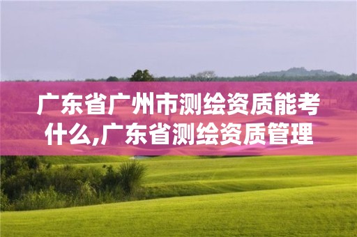 广东省广州市测绘资质能考什么,广东省测绘资质管理系统