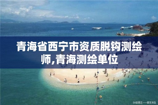 青海省西宁市资质脱钩测绘师,青海测绘单位