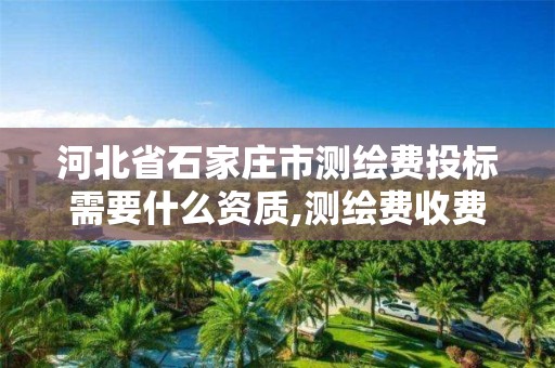 河北省石家庄市测绘费投标需要什么资质,测绘费收费标准文件。