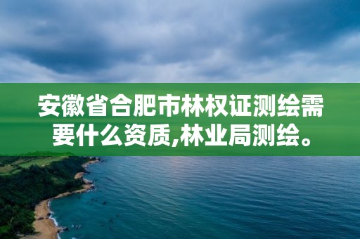 安徽省合肥市林权证测绘需要什么资质,林业局测绘。