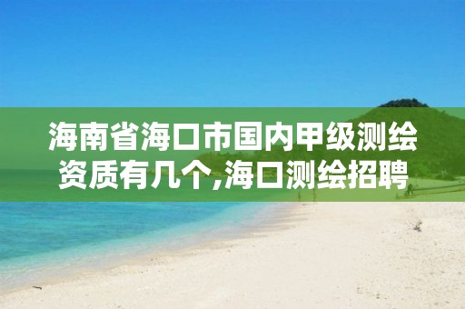 海南省海口市国内甲级测绘资质有几个,海口测绘招聘