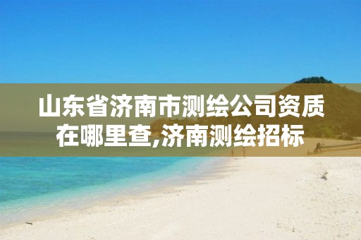 山东省济南市测绘公司资质在哪里查,济南测绘招标