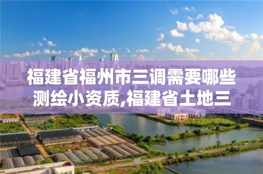 福建省福州市三调需要哪些测绘小资质,福建省土地三调成果。