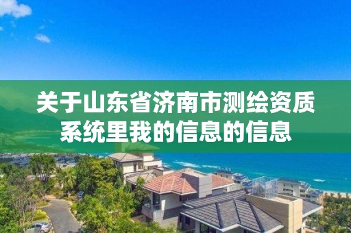 关于山东省济南市测绘资质系统里我的信息的信息