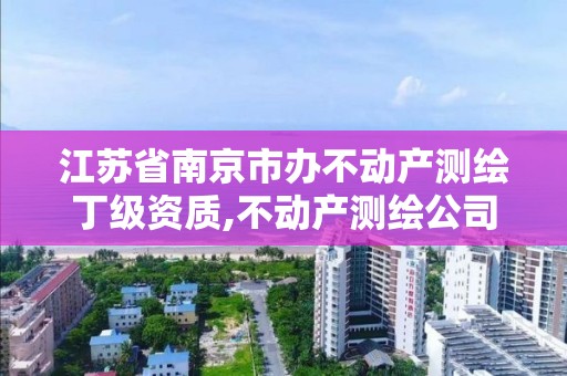 江苏省南京市办不动产测绘丁级资质,不动产测绘公司条件。